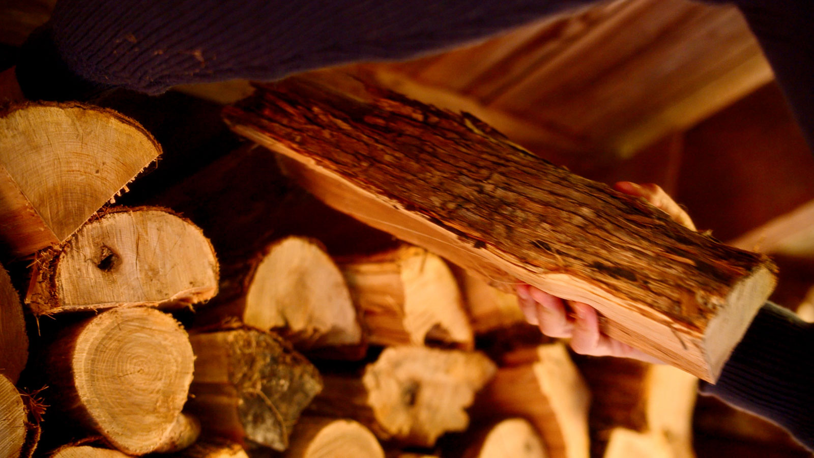 Still frame from Circle x ExitFive